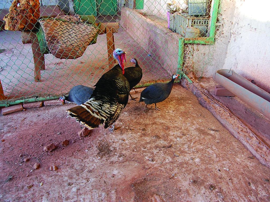 Gite Souss Oulad Teïma Εξωτερικό φωτογραφία