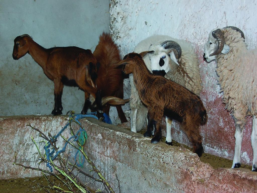 Gite Souss Oulad Teïma Εξωτερικό φωτογραφία