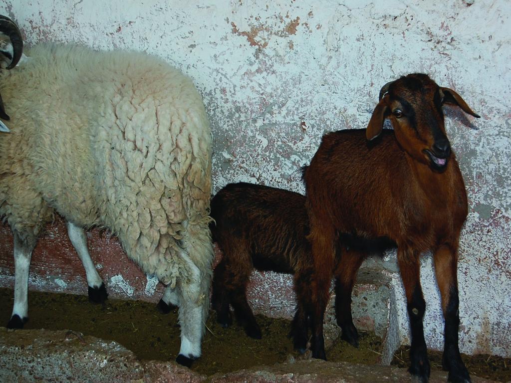 Gite Souss Oulad Teïma Εξωτερικό φωτογραφία