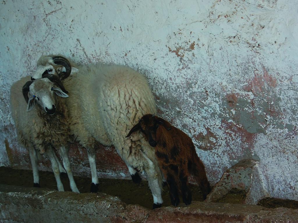 Gite Souss Oulad Teïma Εξωτερικό φωτογραφία