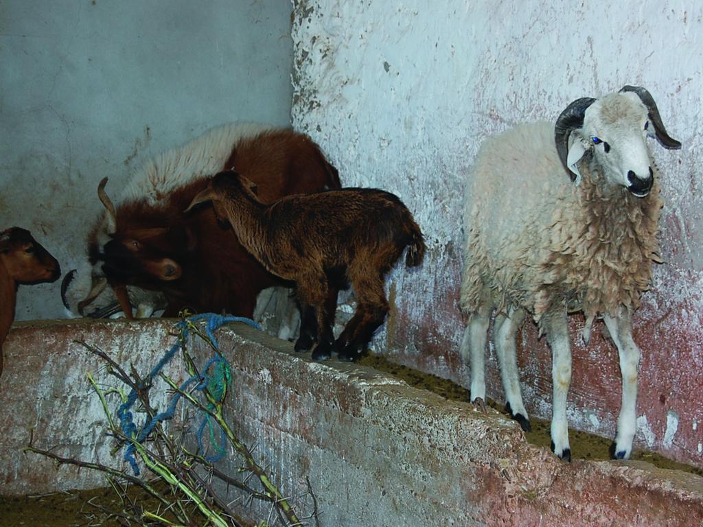 Gite Souss Oulad Teïma Εξωτερικό φωτογραφία