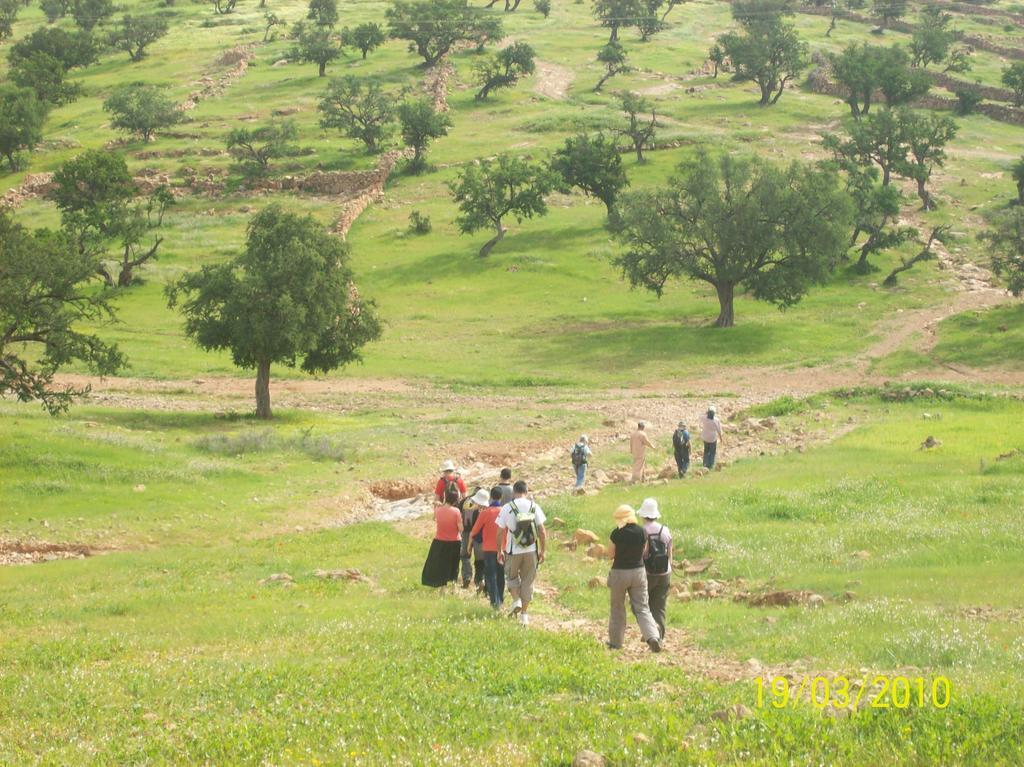 Gite Souss Oulad Teïma Εξωτερικό φωτογραφία